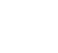 ZERVEX